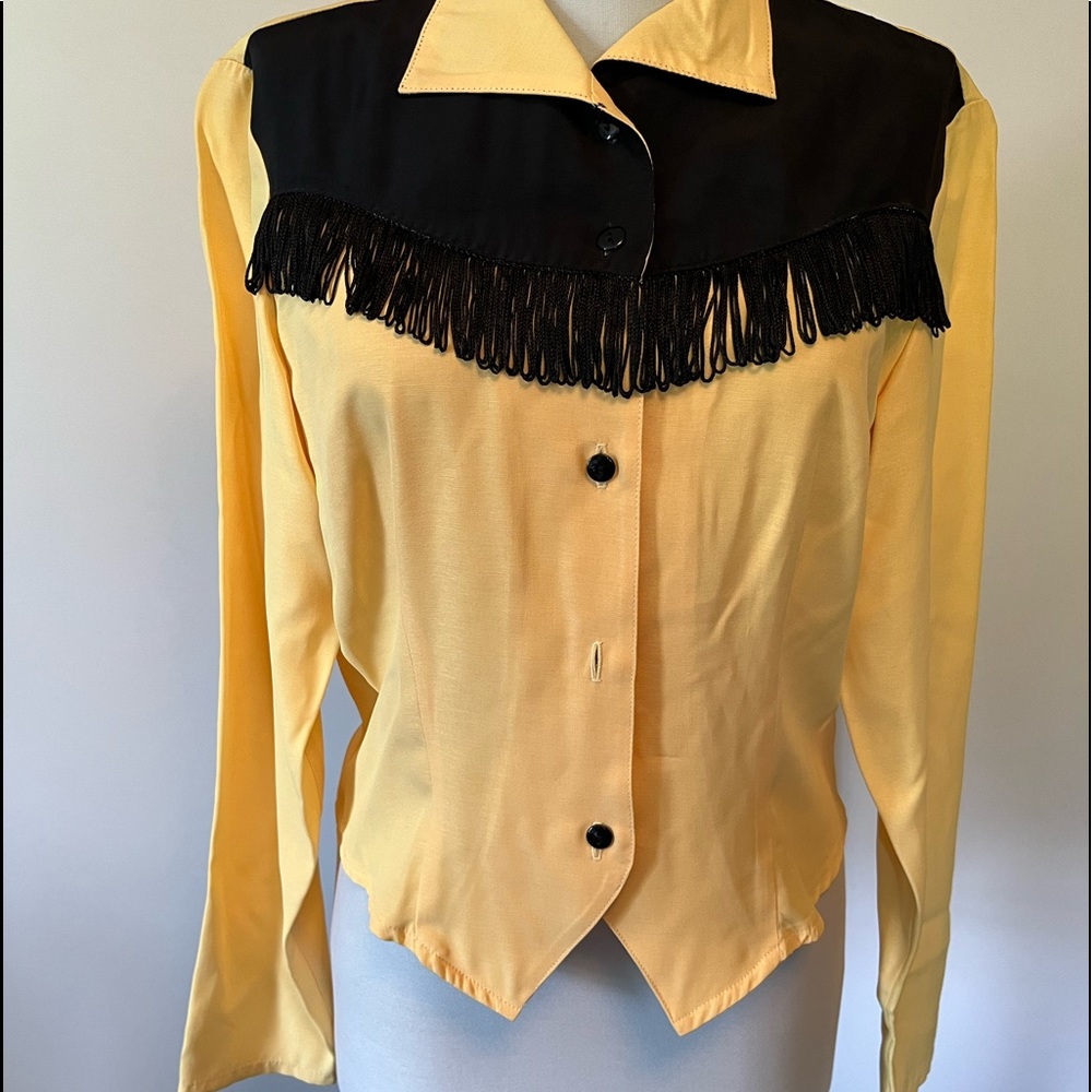 Roughrider by Circle T Western Shirt with Fringe